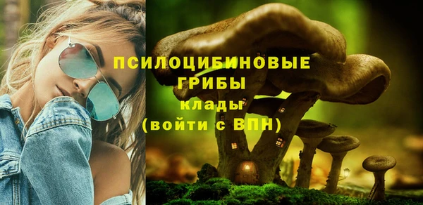 дмт Абдулино