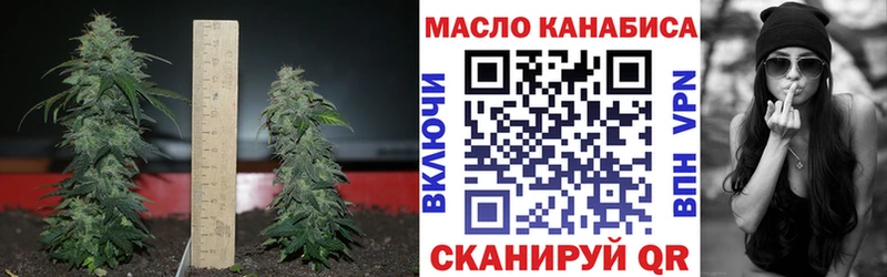 ТГК вейп с тгк  Алзамай 