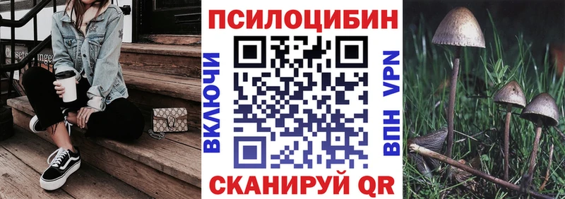 Галлюциногенные грибы мухоморы  ссылка на мегу ссылки  Алзамай 