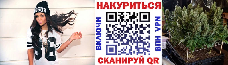 Бошки Шишки семена  где продают   blacksprut ССЫЛКА  Алзамай 